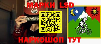 a pvp Краснознаменск