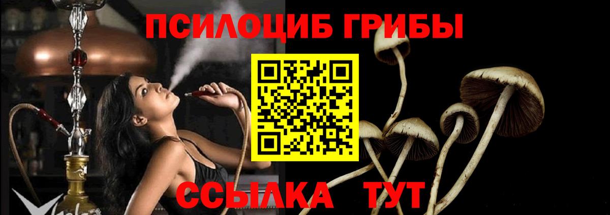 Галлюциногенные грибы GOLDEN TEACHER Кандалакша