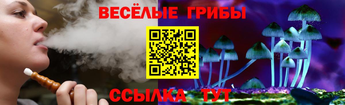 Псилоцибиновые грибы мицелий  Вход с VPN  купить закладку  Галлюциногенные грибы MAGIC MUSHROOMS  Кандалакша 